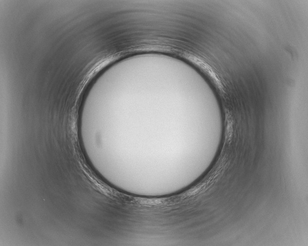 X0000115650882200912081123