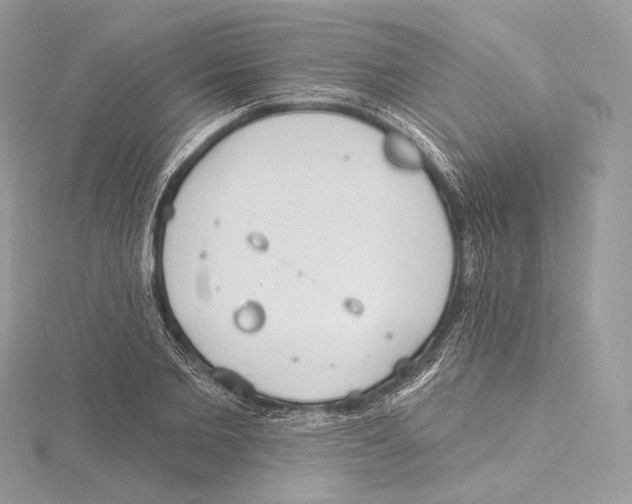 X0000115650885200912081123