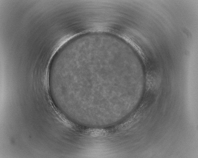 X0000115650886200912081123