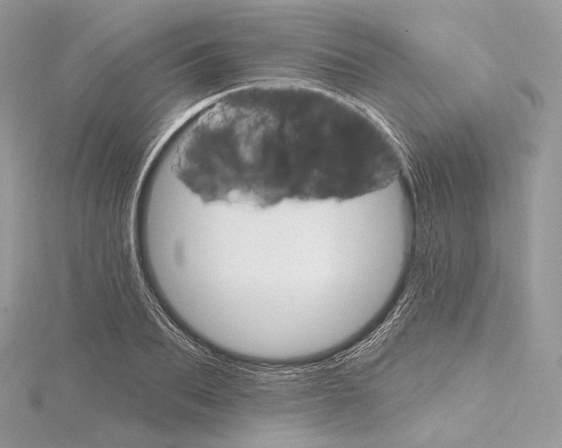 X0000115650887200912081123