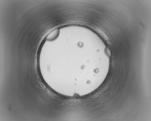 X0000115650888200912081123