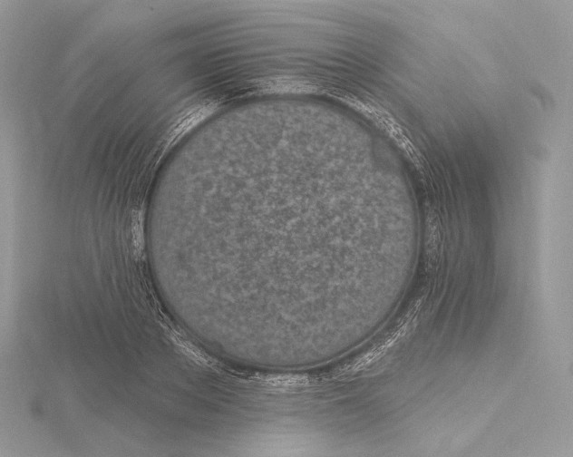 X0000115650889200912081123