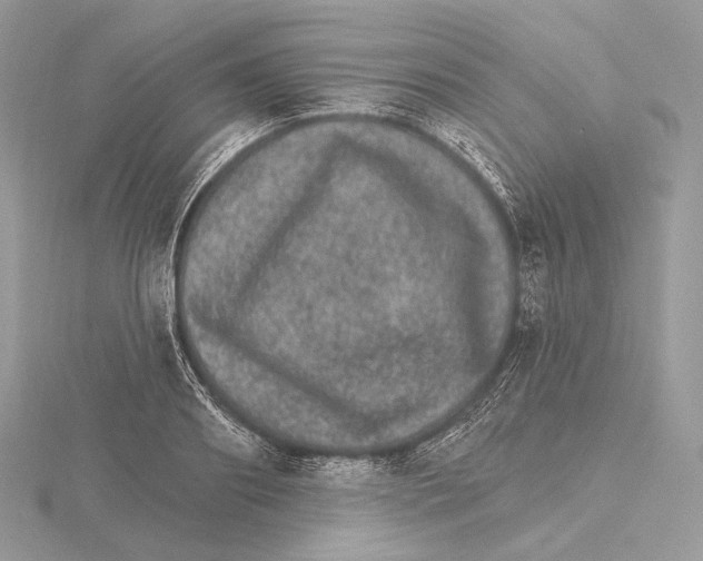 X0000115650890200912081123