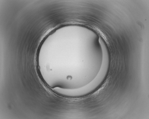 X0000115650893200912081123