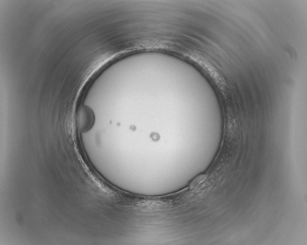 X0000115650894200912081123