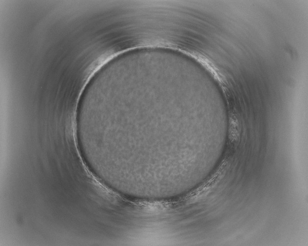 X0000115650895200912081123