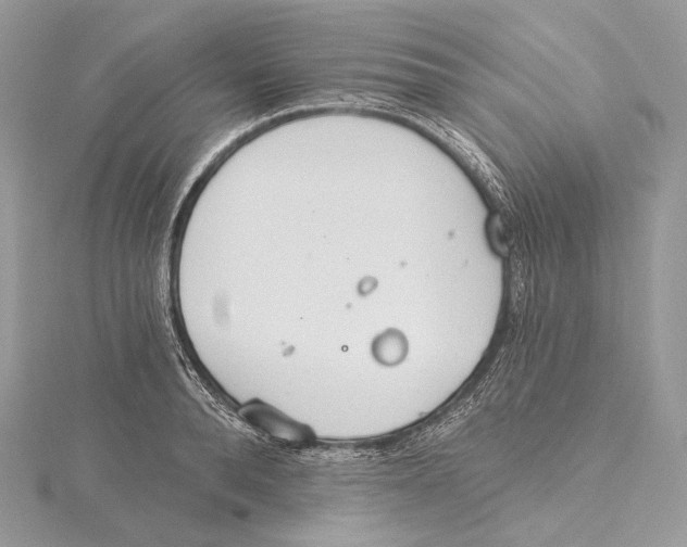 X0000115650896200912081123