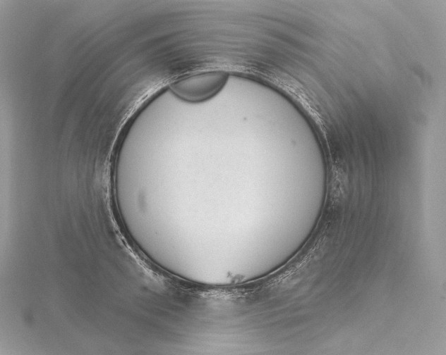 X0000115650898200912081123