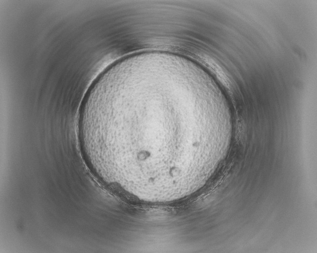 X0000115650899200912081123