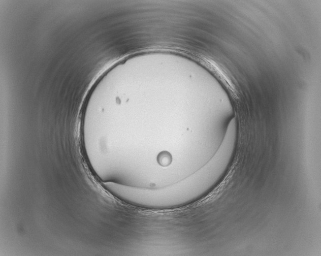 X0000115650900200912081123