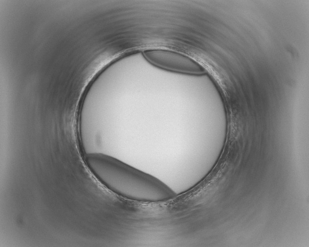 X0000115650901200912081123