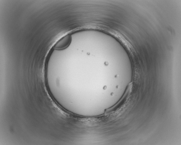 X0000115650902200912081122