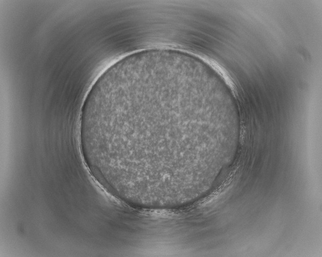 X0000115650903200912081122