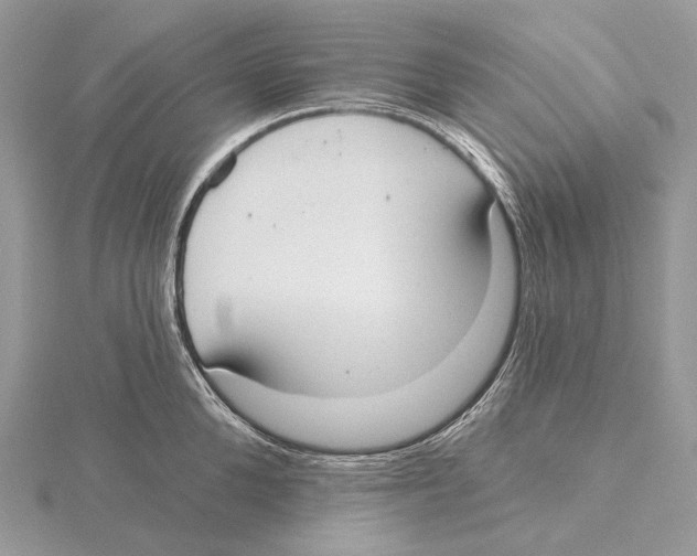 X0000115650904200912081122