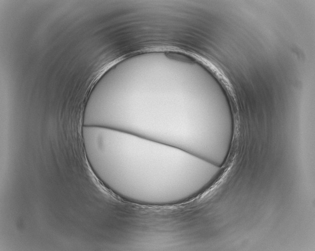 X0000115650905200912081122