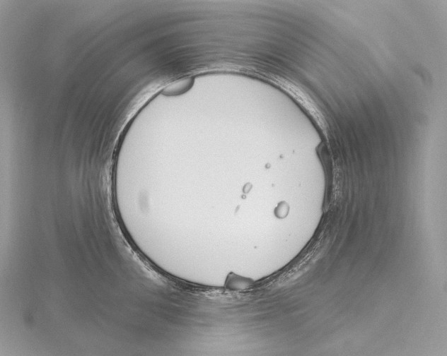 X0000115650906200912081122