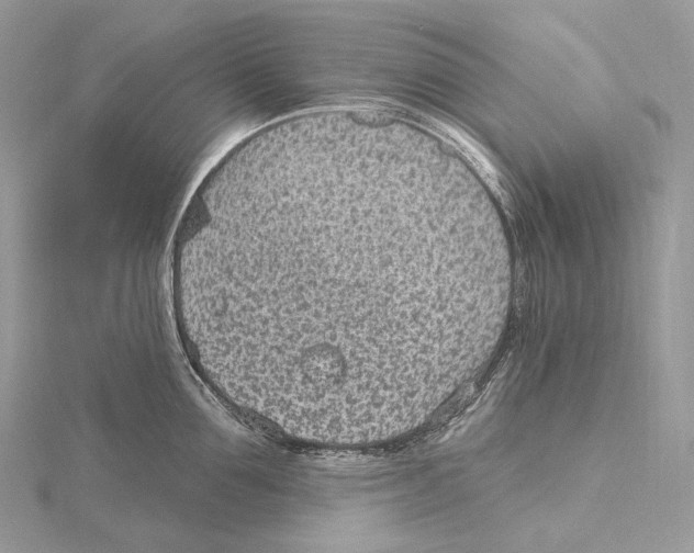 X0000115650907200912081122