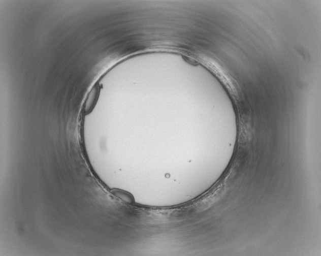 X0000115650908200912081122