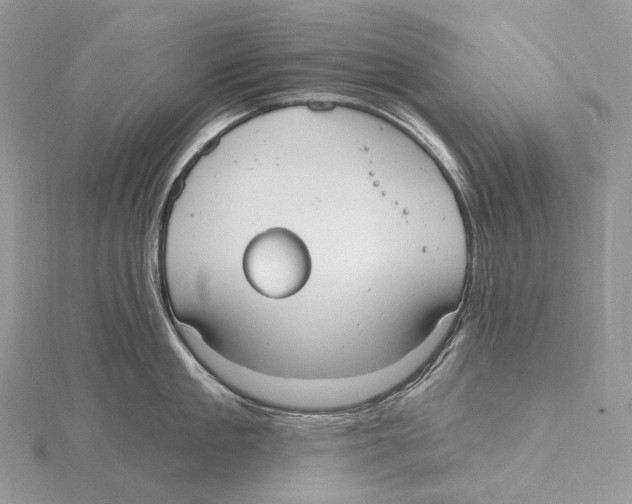 X0000115650909200912081122