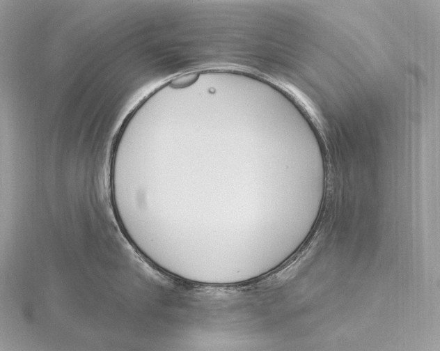 X0000115650910200912081122