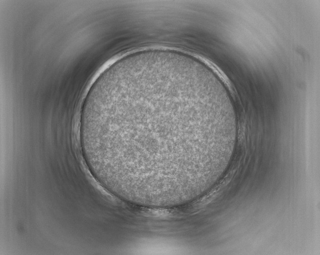 X0000115650911200912081122