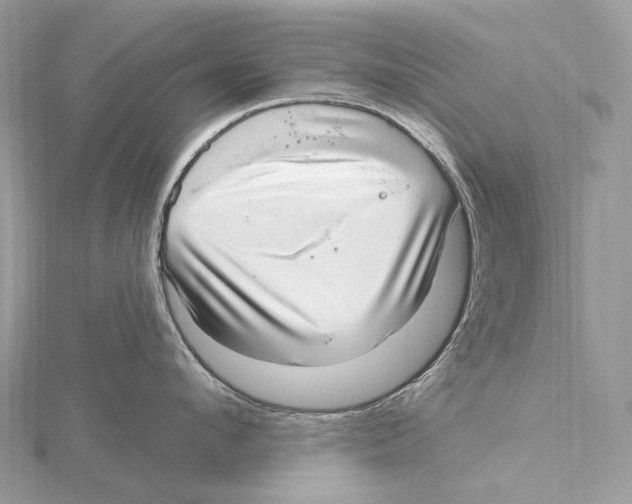 X0000115650912200912081122