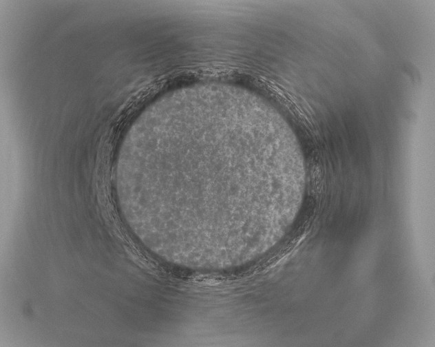 X0000115650913200912081122