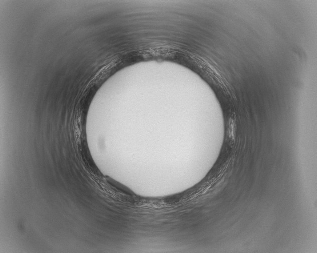 X0000115650915200912081122