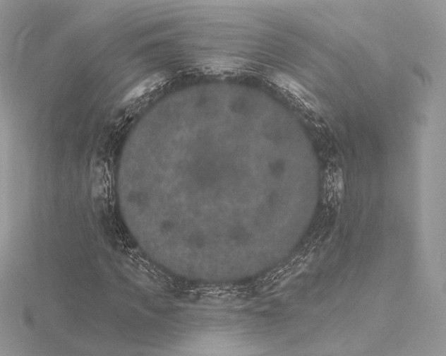 X0000115650917200912081122