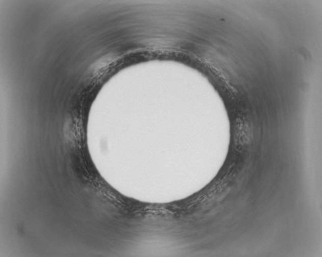 X0000115650918200912081122