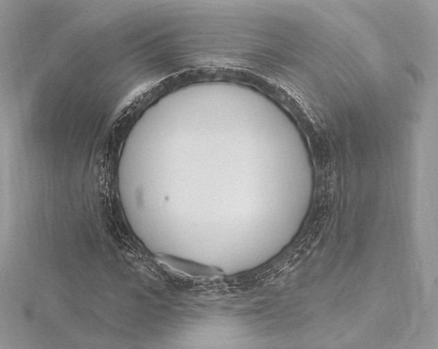 X0000115650919200912081122