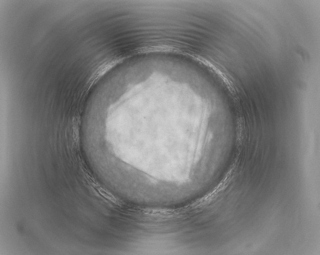 X0000115650921200912081122