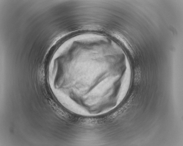 X0000115650923200912081122