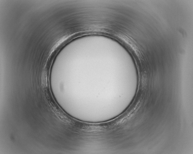 X0000115650925200912081122