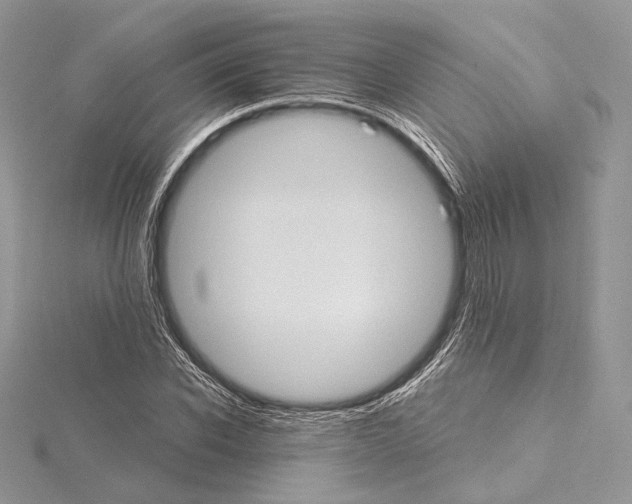 X0000115650926200912081122