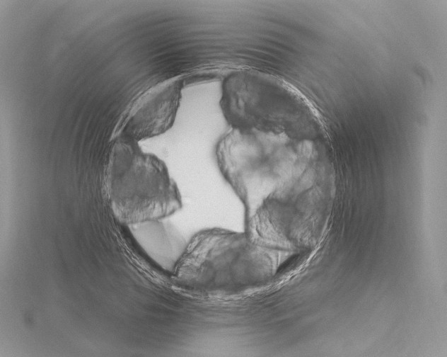 X0000115650929200912081122