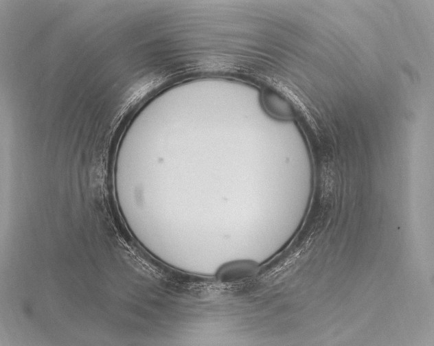 X0000115650930200912081122