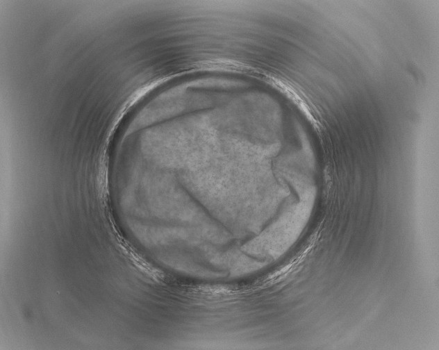 X0000115650931200912081122