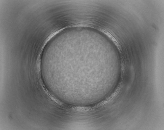 X0000115650933200912081122