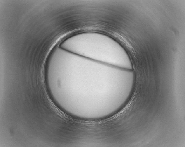 X0000115650934200912081122