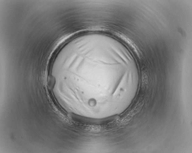 X0000115650935200912081122