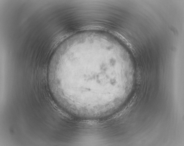 X0000115650937200912081122