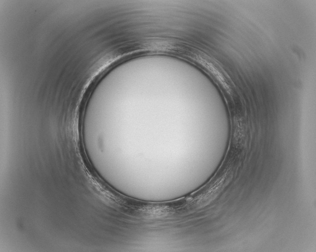 X0000115650939200912081122