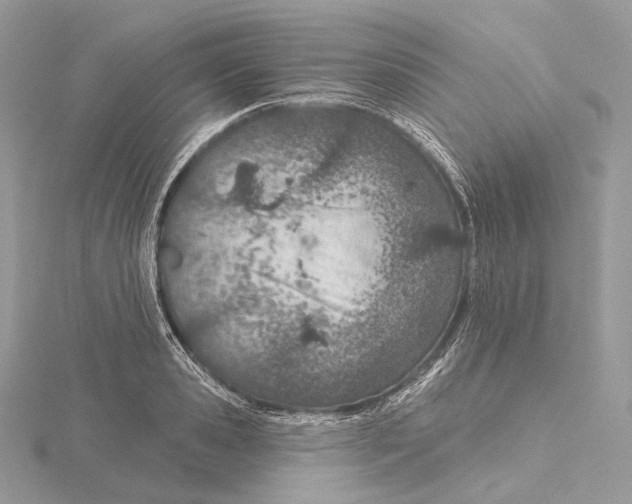 X0000115650941200912081122