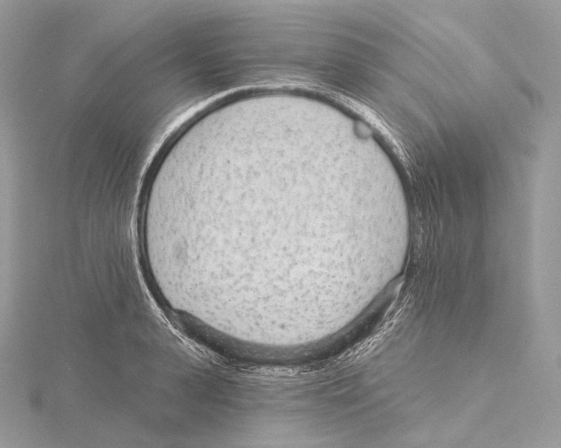 X0000115650943200912081122