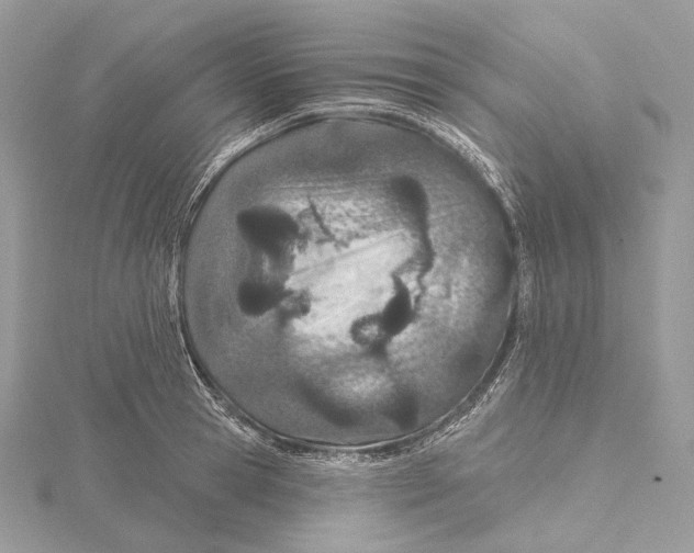 X0000115650945200912081122