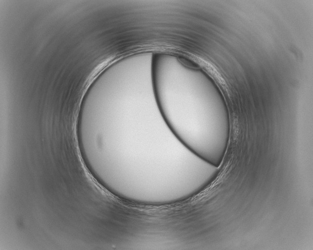 X0000115650946200912081122