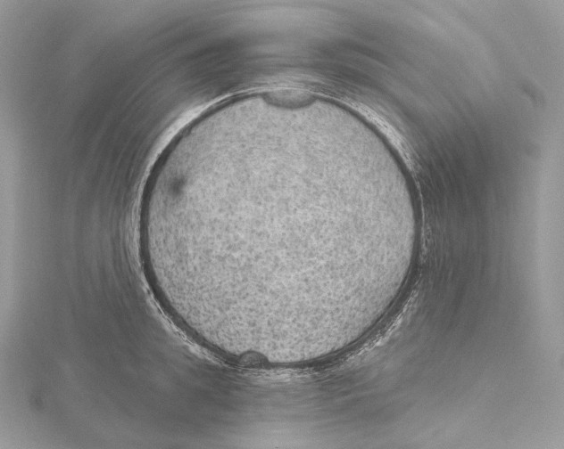 X0000115650949200912081122