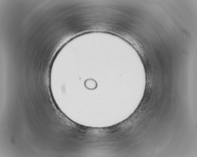 X0000115650950200912081122