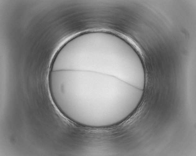 X0000115650951200912081122